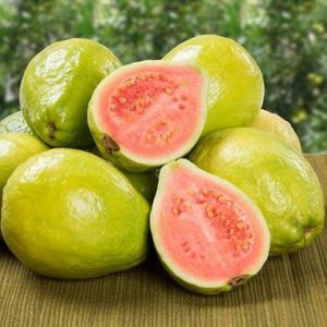 Guava pink 2 pieces