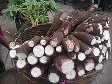 Cassava /kg
