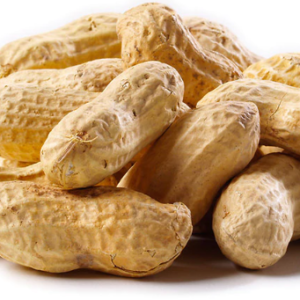 Fresh peanuts