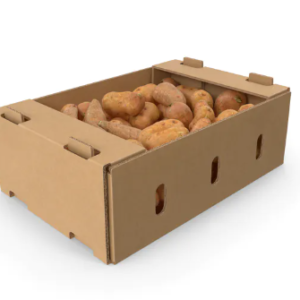White Sweet potatoes BOX