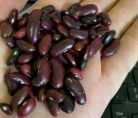 Cow Peas Nyemba  400g