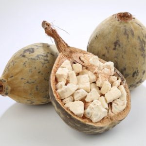 Baobab fruit whole fruit Mawuyu