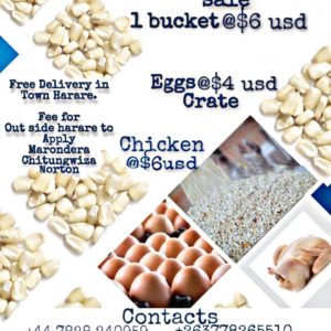 Zim  products place your orders