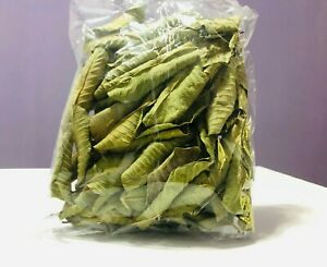 Dried Guava Leaves