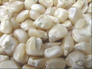 Dry maize Grains
Mutakura
 400g