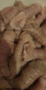 Rolled Tripe  Sheep 
Zinyenze