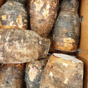 Gogoya Uganda Yams Ndoma Arrow Roots /kg