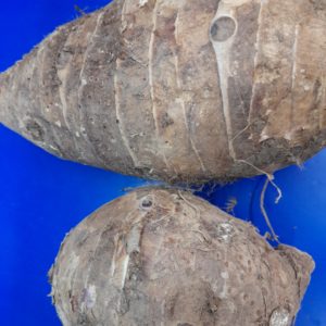Yams (Gogoya) Arrow Roots price per kg