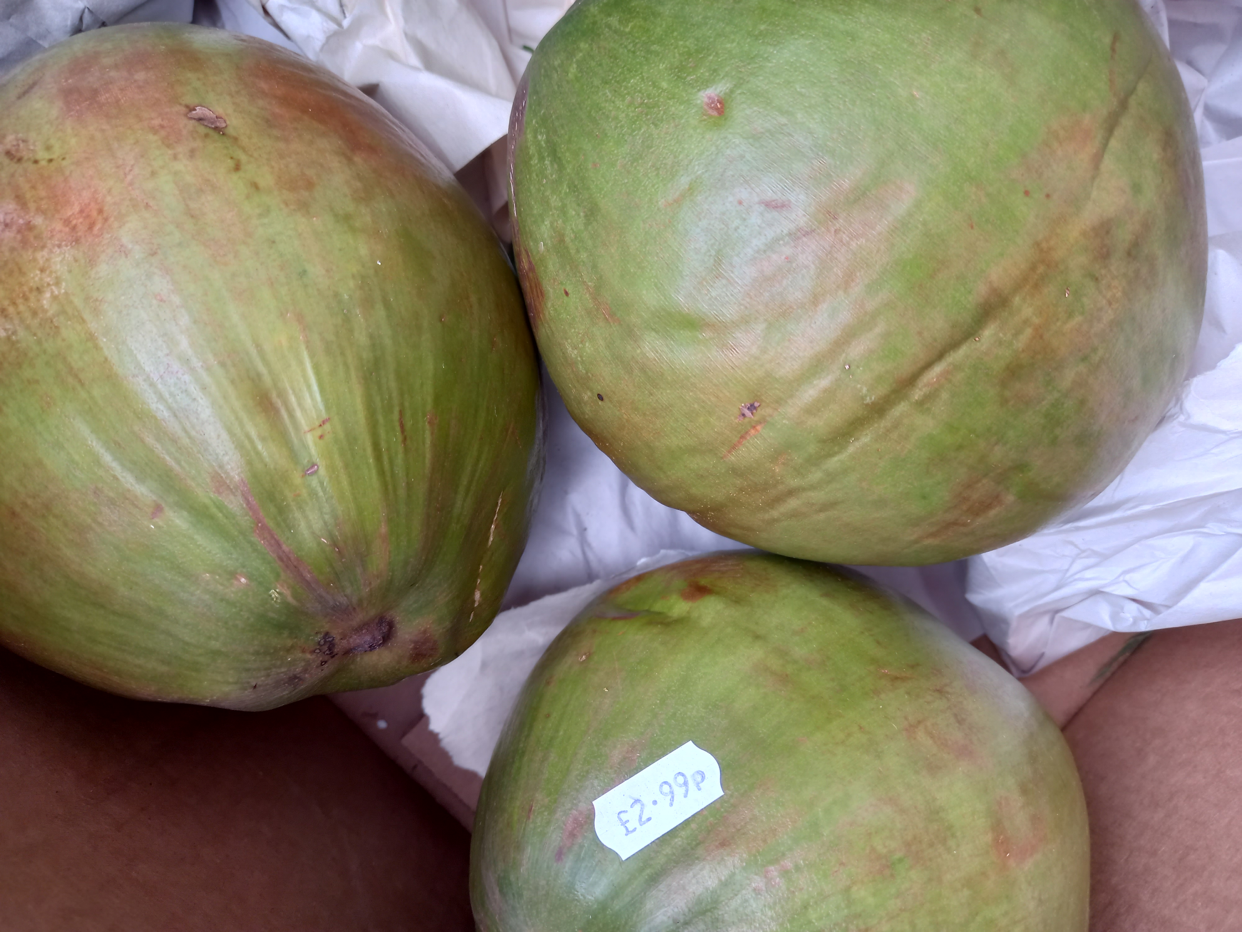 Jelly Nuts (Fresh Coconut) 
pealed