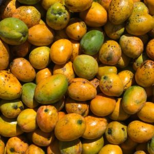 Zim mangoes
1kg